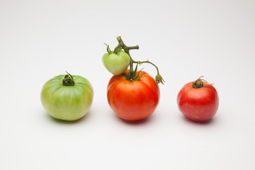 Tomates verdes y rojos, tomates maduros y tomates por madurar; bodegón de tomates ecológicos que no nos los más bonitos del mundo pero si son los más sabrosos y llenos de vitaminas