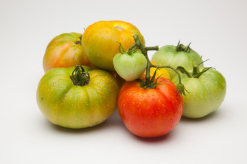 Tomates verdes y rojos, tomates verdes y maduros, recién traidos del huerto y preparados para ser cocinados o bien comidos crudos en una ensalada.