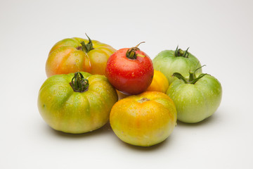 Tomates verdes y rojos, tomates maduros y tomates por madurar; bodegón de tomates ecológicos que no nos los más bonitos del mundo pero si son los más sabrosos y llenos de vitaminas
