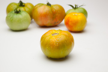Tomates verdes y rojos, tomates maduros y tomates por madurar; bodegón de tomates ecológicos que no nos los más bonitos del mundo pero si son los más sabrosos y llenos de vitaminas