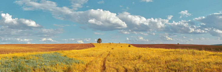 Fototapeta premium Central Russia agricultural countryside with hills and country road. Summer landscape of the Samara valleys. Russian countryside. High resolution file for large format printing.