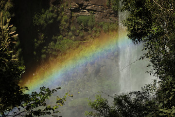 waterfall in forest with rainbow