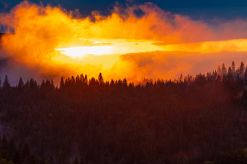 Bright sunset over foggy mountains. Vivid sun through the clouds over mountains slopes, covered with spruce forest. Carpathian mountains. Ukraine.