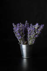 fresh fragrant lavender bouquets in a bucket on a black background. Provencal herbs.