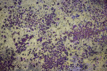 Green Rusty metal grunge rough vintage weathered dirty distressed texture background resource