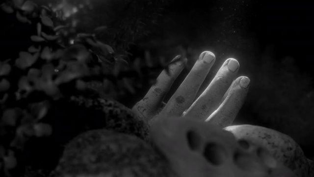 DECEASED HUMAN HAND ON A LAKE BOTTOM.  FLASHLIGHT SEARCHES FROM ABOVE.  4K SLOW MOTION AT 60 FPS.