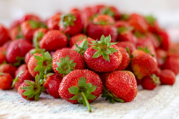 Lots of fresh ripe red strawberries on the white table. Home garden harvesting