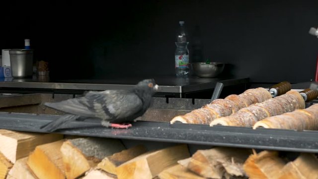 pigeon steals and eats czech trdelnik from barbecue in a street food store