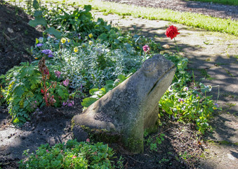 The stone toad sits in the garden among flowers and other plants. The flowers are blue, yellow and red. The grass is green. The sun is shining.