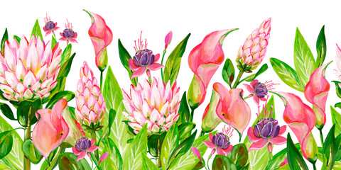 Gouache pink floral border with pink Protea, pink Calla, green leaves and Fuchsia flowers