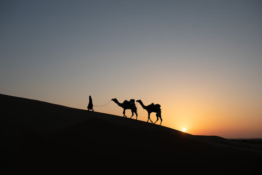Ibrahim and his camels