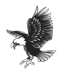 Eagle emblem isolated on white vector illustration. World symbol of freedom. Retro color logo of falcon. Eagle detailed logo.