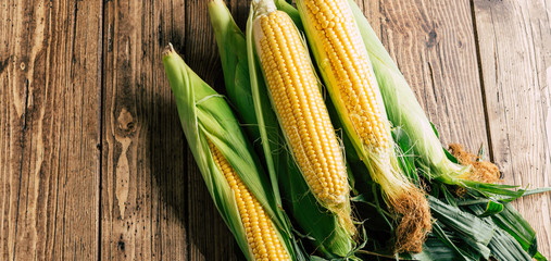 Fresh corn on the cob on a wooden background, long banner