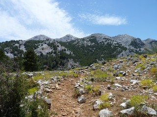 Fototapeta na wymiar Sierra de Grazalema, Spain
