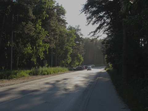 Gray light road surrounded by green summer trees, bushes and grass, illuminated by the rising golden sun.