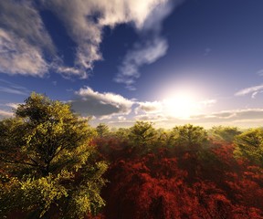 Autumn forest at sunset under a blue sky with beautiful clouds, 3d rendering