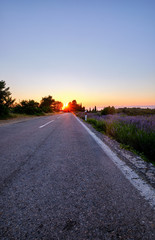 Road around blooming lavender field on Hvar island, Croatia