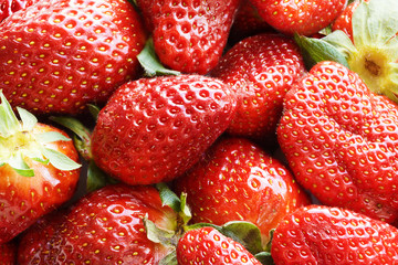 Strawberry Background. Lots of Fresh Ripe Strawberries Close-Up