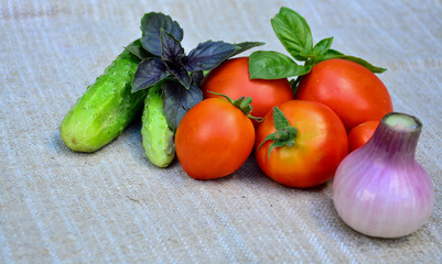 Fresh vegetables. Tomatoes, basil, cucumbers, onions. Food