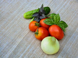 Fresh vegetables. Tomatoes, basil, cucumbers, onions. Food