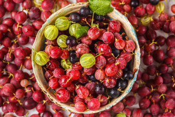 Red, green and black gooseberries in a bowl on gray background, top view.