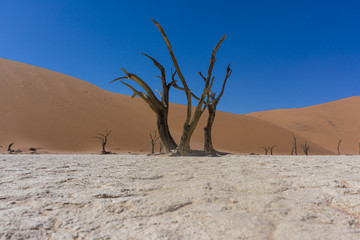 Namibia Afrika Landschaft