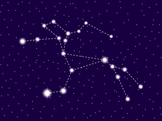 Centaurus constellation. Starry night sky. Zodiac sign. Cluster of stars and galaxies. Deep space. Vector illustration