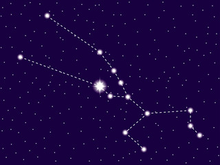 Obraz na płótnie Canvas Taurus constellation. Starry night sky. Zodiac sign. Cluster of stars and galaxies. Deep space. Vector illustration