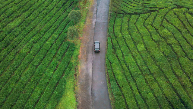 Aerial view of a car passing through the Rancabali tea plantations on a rainy day in west java island of Indonesia.