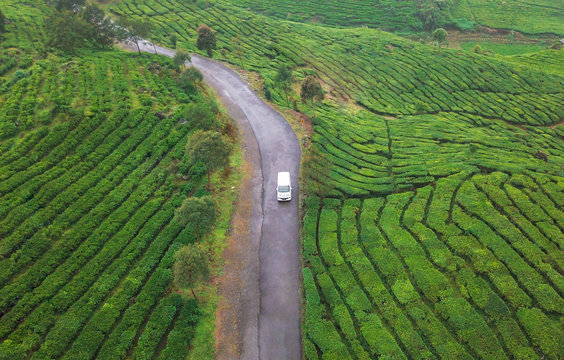 Aerial view of a white van passing through the Rancabali tea plantations in west Java island of Indonesia.