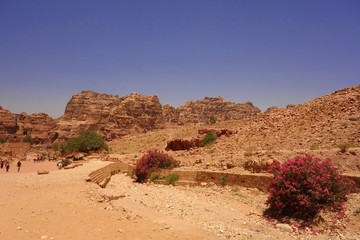 Ancient city od Petra Jordan