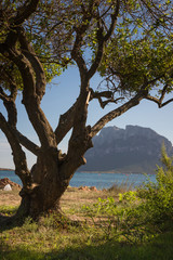 Traumhafte Landschaft auf Sardinien, Italien