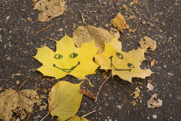 autumn leaves with smiles fell on asphalt path in park