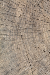 Fototapeta premium Old Weathered Brownish Wood Texture