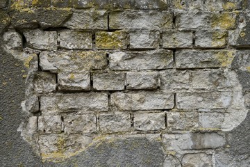 Mauer mit weißen Ziegelsteinen