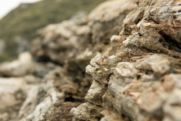 Rock detail