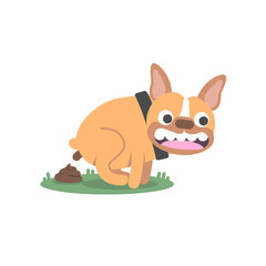 Cute Bulldog doing poop. Vector flat illustration.