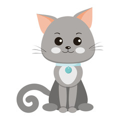Sweet and cute smiling smooth-haired gray cat with a white spot on the chest, collar with a medallion
