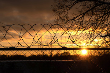 Barbed wire fence at sunset, gloomy sky, tree branches.