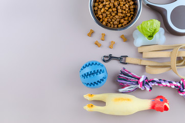 dried food for pets, leash and toys with copy space