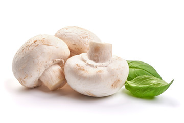 Champignons, close-up, isolated on white background