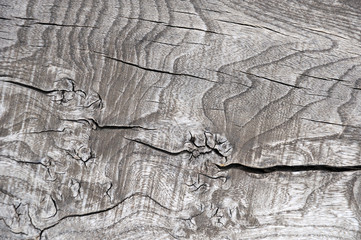 the surface of the old timber from natural gray oak