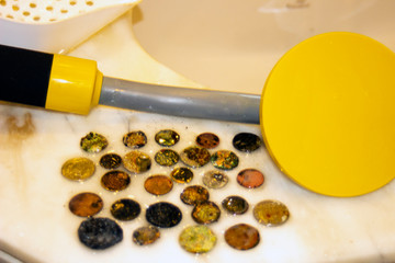 The photo of gold and silver  coins collected with help of underwater metal detector. Treasure...