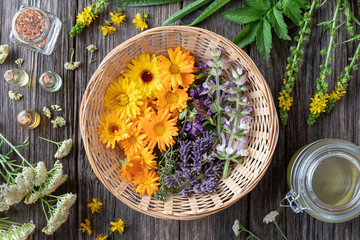 Fresh medicinal plants and essential oils