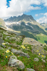 Sommer in den Bergen