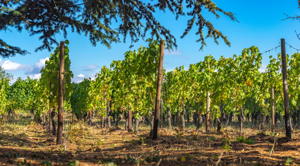 Ruedesheim Schloss Johannisberg, GERMANY, October 01, 2018: Schloss Johannisberg castle Rheingau