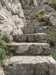 stone wall in garden