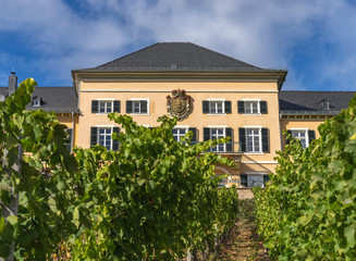 Ruedesheim Schloss Johannisberg, GERMANY, October 01, 2018: Schloss Johannisberg castle Rheingau