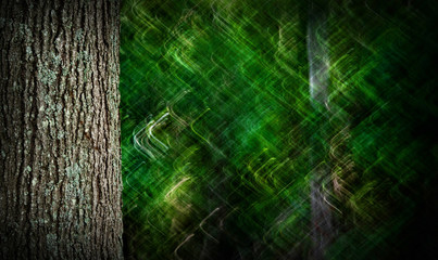 Obraz na płótnie Canvas Tree with creatively blurred background