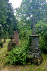 Fototapeta premium Friedhof Freiburg Herdern
